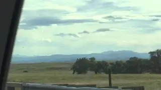 Freedom: Denver, CO