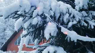 Новый год 2021 на природе.