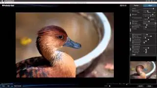 Edit-in Vs Export in Perfectly Clear Plug-in for Lightroom