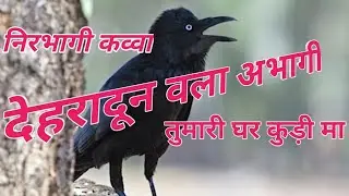 #latestgarhwalisong palayan geet #meenarananewsong bharat bhatt