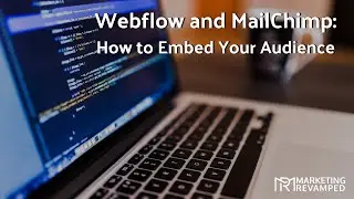 Webflow and MailChimp: How to Embed Your Audience