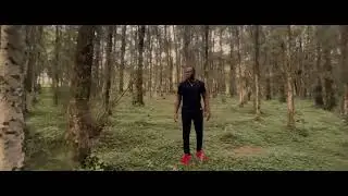 Roar of Resilience