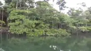 2015.1.2 マングローブ観光 in 西表島その３