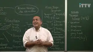ITTV PT3 Tingkatan 2 Sains - Bab 2 : Ekosistem (Pelajaran 1)