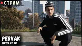Давно не стримились | PERVAK server | DayZ 1.22