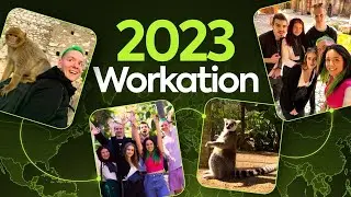 Workation w Hiszpanii - Toucan Agency