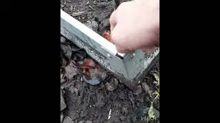 Полезное от SEL^POBLOG. Грядки, клумбы в огород.