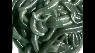 Hijack Jumbos - song name unknown