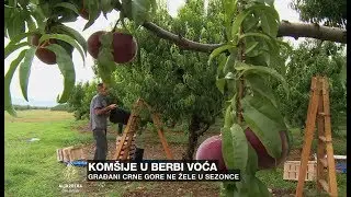Crnogorci ne žele u sezonce