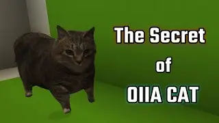 The Secret of OIIA CAT