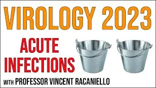 Virology Lectures 2023 #16: Acute infections