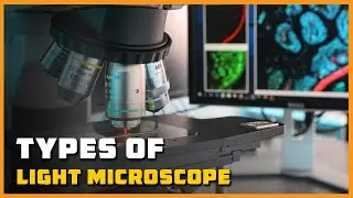 Types of Light Microscope