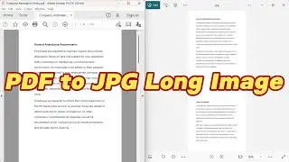 How to batch convert PDF to complete JPG long images?