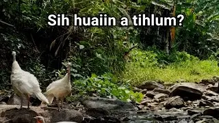 Sih huaiin an tihlum (Mizo Paranormal story)