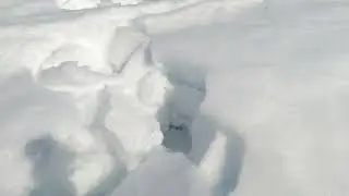 На вездеходе до Тонапчи , 1 часть. Много медвежьих следов.
