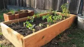 Build Your Own Raised Planting Beds