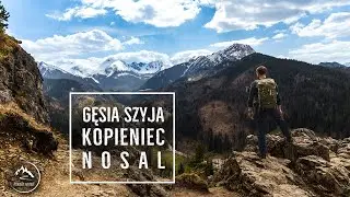 Z Doliny Filipka do Kuźnic - 20 km wędrówki po Tatrach