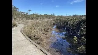 Conservation Hill and Rhyll Inlet Walks (Phillip Island)
