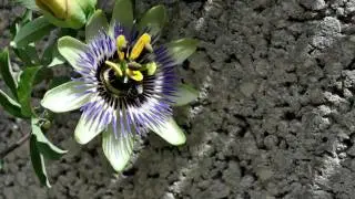 MiNi showreel by Vladimír Mrkvica 2011