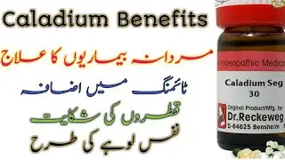 Caladium Benefits | Caladium 30 | Caladium 200 | Caladium Q | mardana kamzori ka ilaj |moral stories