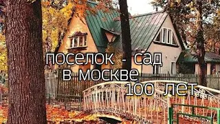 100 лет красоты и искусства: загадочный Поселок художников в Москве    #кудапойтивмоскве