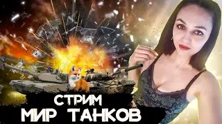 РОЗЫГРЫШ ГОЛДЫ В ТГ! Путь к STB -1