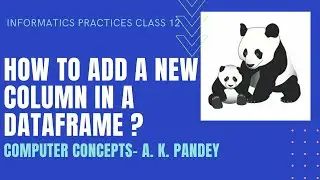 HOW TO ADD NEW COLUMN IN A PANDAS DATAFRAME | INFORMATICS PRACTICES | CLASS 12 | PANDAS ADD COLUMN