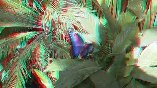 Beautiful fly 3D anaglyph