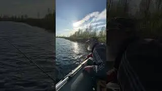 Когда б такое было!