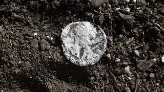Земляной дед послал Динарий (earthen grandfather sent dinars)