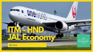 ITM-HND JAL Domestic Economy | One of the best airlines for Economy!