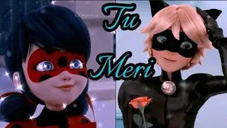Tu meri❤️AMV :MLB🐞😽