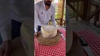 ⚡⚡ Preserved Cheese Making⚡⚡ #shorts #telugufoodie #esangathulu #streetfood  #foodie #omelette