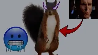 SUPER SIGMA EDIT OF DANCING SQUIRREL🤑😈😤💯🗣🔔🔇🔫🥶
