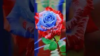 ЛЮБЛЮ ВАС ВСЕХ ОЧЕНЬ СИЛЬНО!.
