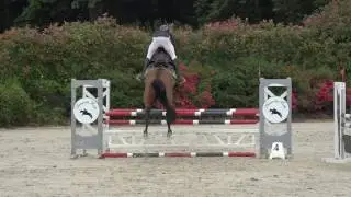 Catchar Mail - CIR 4 ans Mâles Auvers