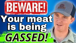 Farmer Exposes Hidden Meat Scandals with Grocery Store Beef!