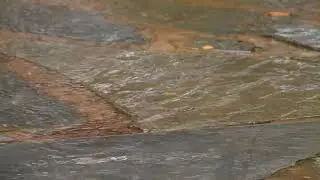 Heavy Rain and Thunder Sounds - 8 Hours Relax Rain
