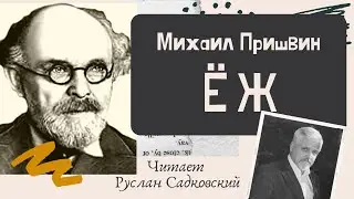 МИХАИЛ ПРИШВИН ЁЖ