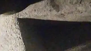 Зеленая змея в Убуде Бали