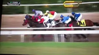 handicapping a longshot
