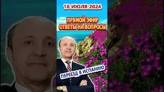 Прямой эфир Переезд и жизнь в Испании 18/07/2024 в 13.00 по испанскому времени