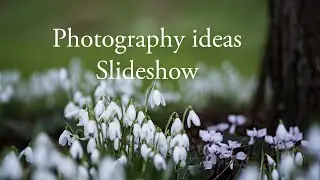 Take a closer look around you. Macro/Close Up Photography #62