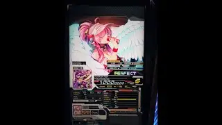 SAMURAI TIGER PUC