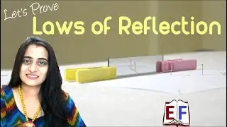 Laws of Reflection using Pins and Plane Mirror : School Science Experiment