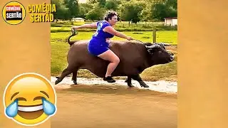IMPOSSÍVEL NÃO RIR! Vídeos Engraçados 2024
