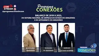 BALANÇO DE 2019 A 2022 DO SISTEMA NACIONAL DE EMPREGO E DO ARTESENATO DO ESTADO DO AMAZONAS