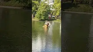 Утиная семейка на Чистых прудах