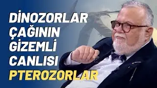 Dinozorlar Çağının Gizemli Canlısı Pterozorlar
