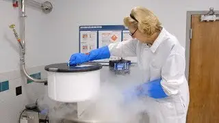 How a Cancer Lab is Helping to Treat Stroke (2018 video)